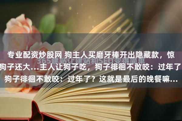 专业配资炒股网 狗主人买磨牙棒开出隐藏款，惊喜直接成惊吓，骨头比狗子还大…主人让狗子吃，狗子徘徊不敢咬：过年了？这就是最后的晚餐嘛...