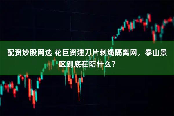 配资炒股网选 花巨资建刀片刺绳隔离网，泰山景区到底在防什么？
